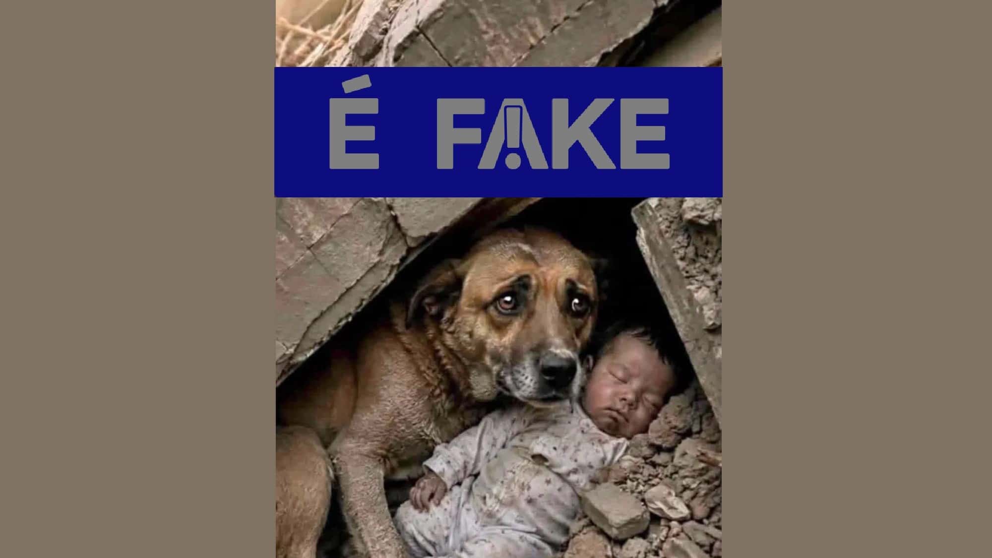 Foto de cachorro protegendo bebê no terremoto da Venezuela é FAKE